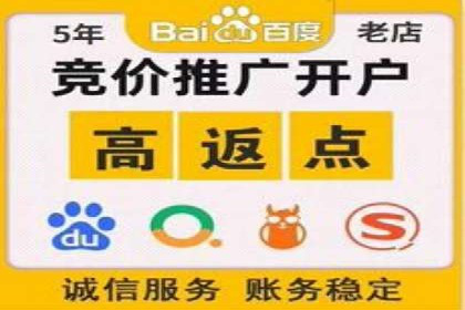 高效SEM托管服务：成功案例深度解析